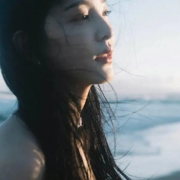 【经典纯爱】《假如爱有天意》姊妹篇《雏菊》：全智贤郑雨盛，杀手与画家的阿姆斯特丹绝恋