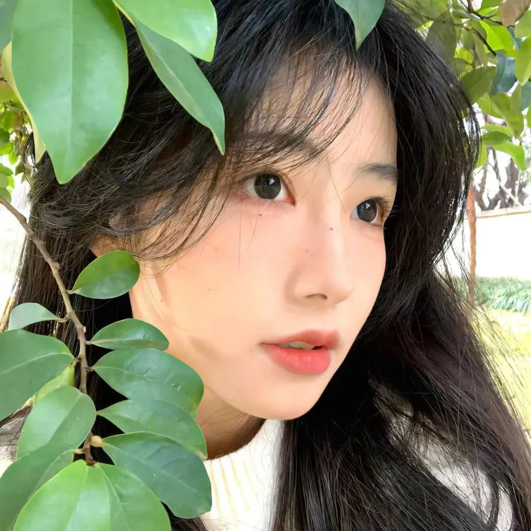 【经典纯爱】《假如爱有天意》姊妹篇《雏菊》：全智贤郑雨盛，杀手与画家的阿姆斯特丹绝恋
